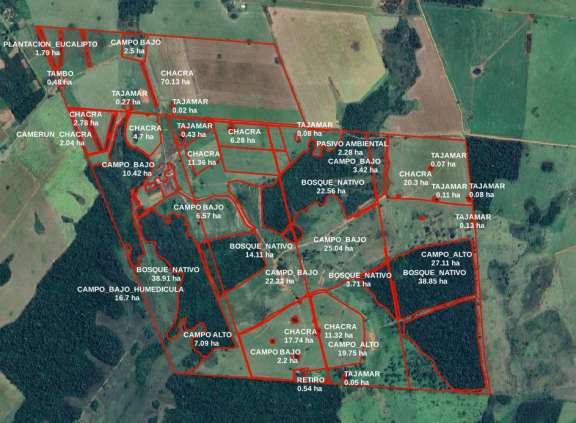 Vendo 435 hectareas en Colonia Friesland