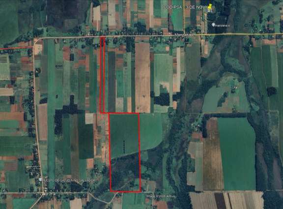 Vendo 45 Hectáreas en 3 de Noviembre, Tierra agrícola